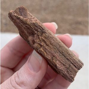 Colorful New Mexico Petrified Wood • Ancient Petrified Wood • NM Petrified Wood